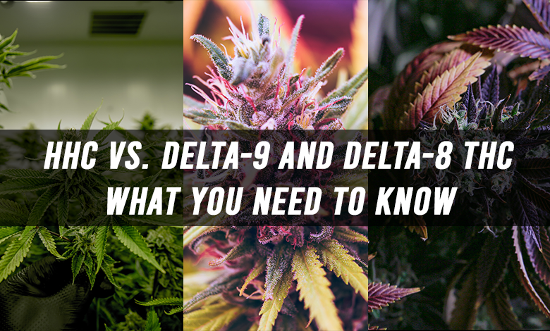HHC Vs. Delta-9 and Delta-8 THC: What Are the Differences?
